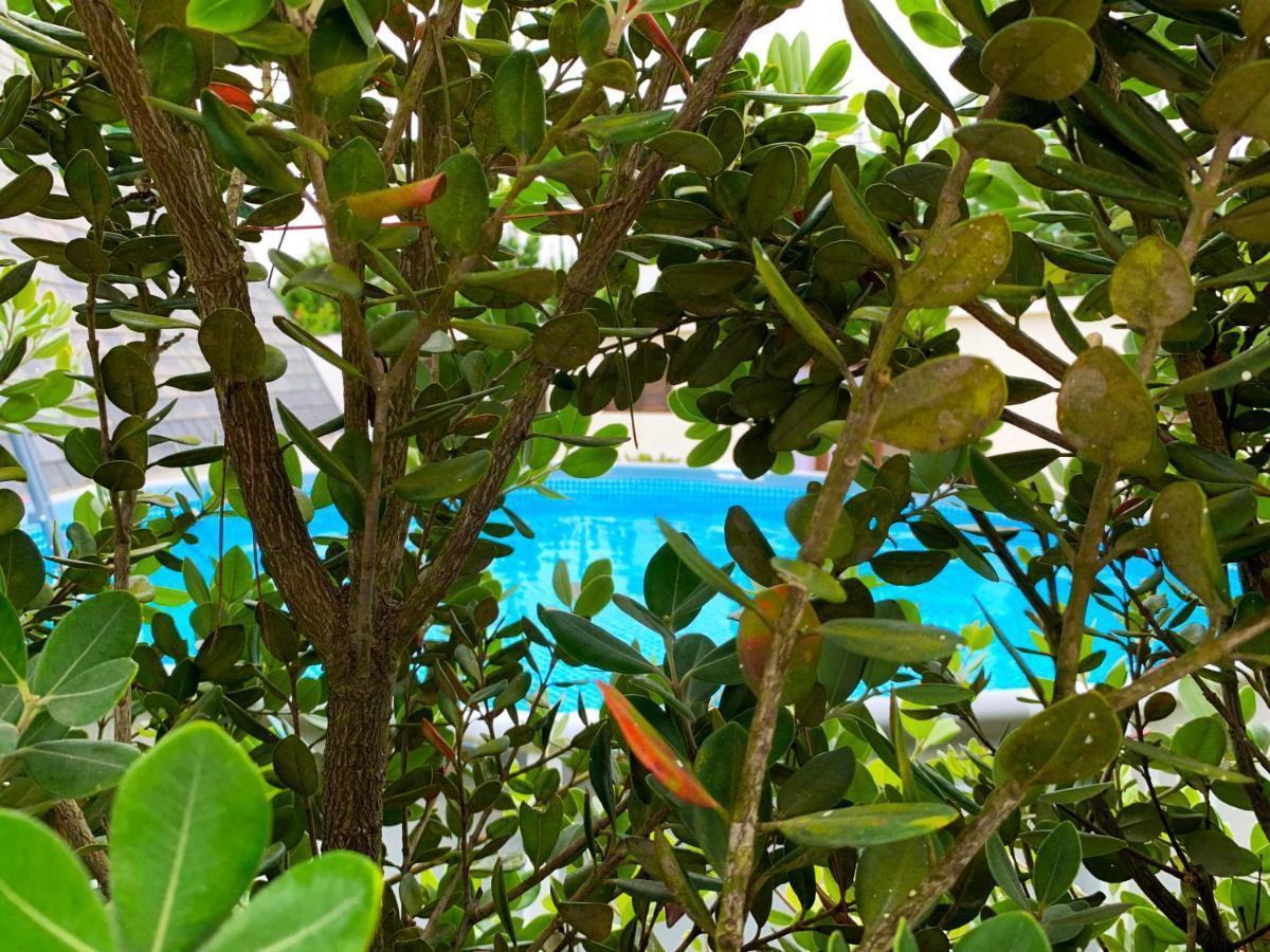 فيلا Beachliving Cabana إسموريز المظهر الخارجي الصورة